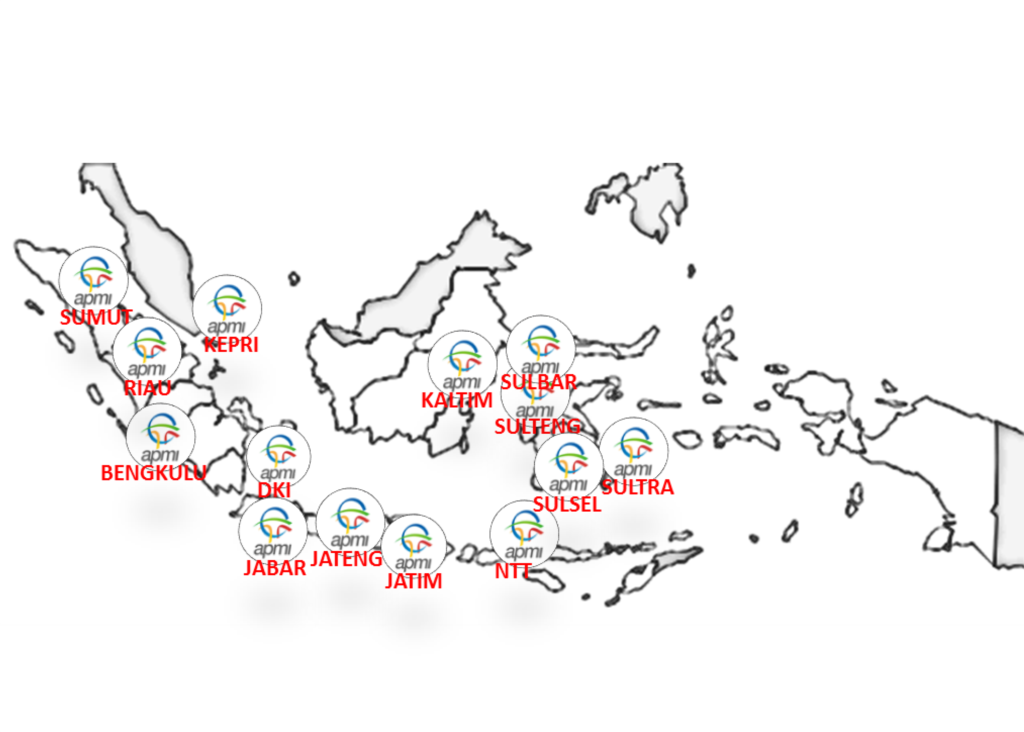 Sebaran DPD APMI